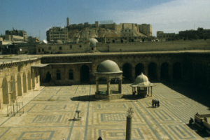 Image Description